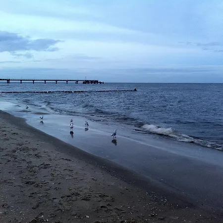 Bio-hotel Gutshof Insel Usedom 3* Mellenthin