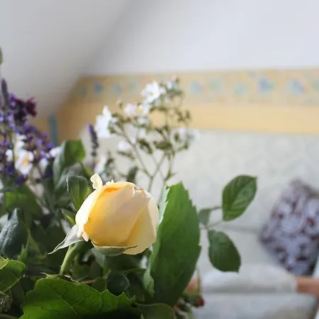 Bio-hotel Gutshof Insel Usedom