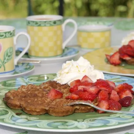 فندق Bio-hotel Gutshof Insel Usedom 3*