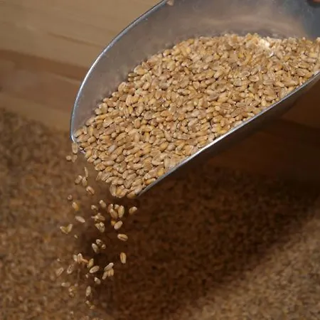 فندق Bio-hotel Gutshof Insel Usedom 3*