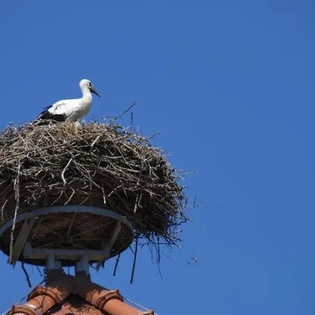 فندق Bio-hotel Gutshof Insel Usedom