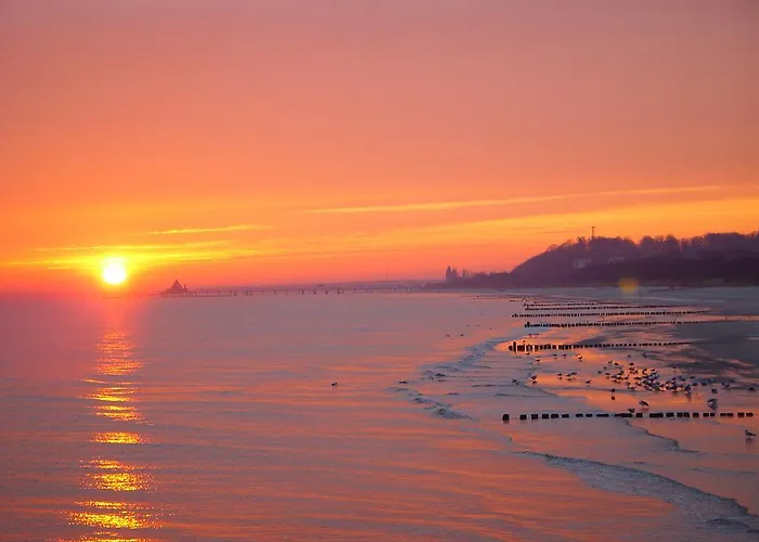 Hotel Bio-hotel Gutshof Insel Usedom 3*
