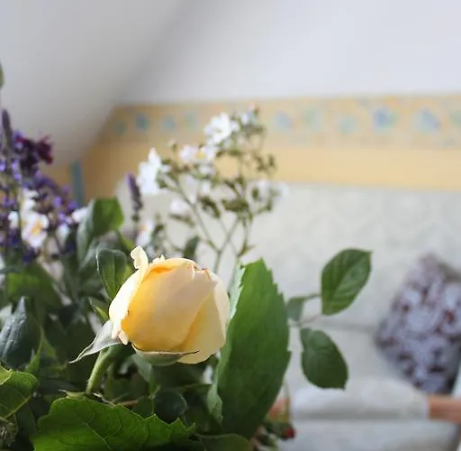 Bio-hotel Gutshof Insel Usedom