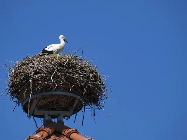 Hotel Bio-hotel Gutshof Insel Usedom